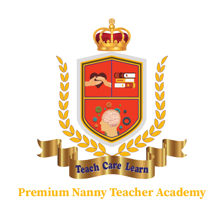 Review - Premium Nanny Teacher Academy
